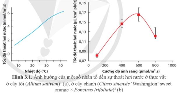 Câu hỏi trang 18 Sinh học 11
