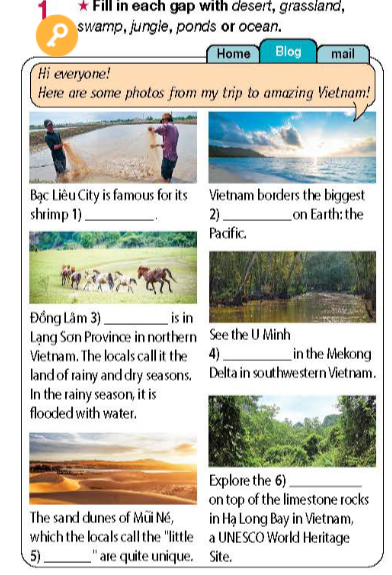 Tiếng Anh 11 Bright Workbook Unit 3 3a Reading