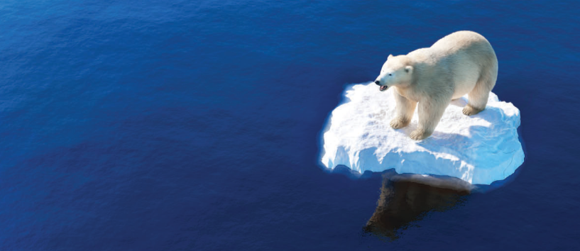 Tiếng Anh 11 Smart World Unit 4 Lesson 1