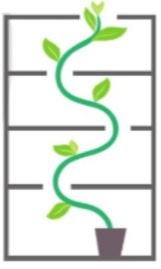 Báo cáo thực hành trang 83 Sinh học 11