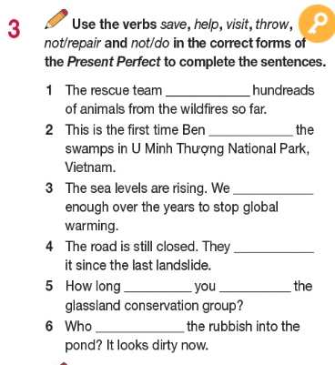 Tiếng Anh 11 Bright Unit 3 3b Grammar