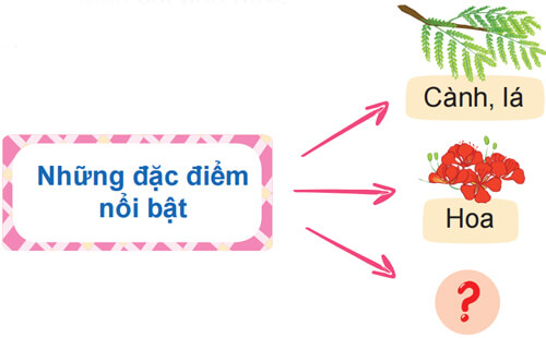 Quan sát, tìm ý cho bài văn miêu tả cây cối lớp 4