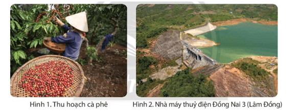 Lịch Sử và Địa Lí lớp 4 Chân trời sáng tạo Bài 20: Dân cư và hoạt động sản xuất ở vùng Tây Nguyên