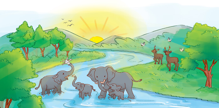 Đọc: Trong ánh bình minh lớp 4