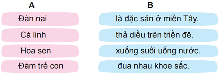 Luyện tập về chủ ngữ lớp 4