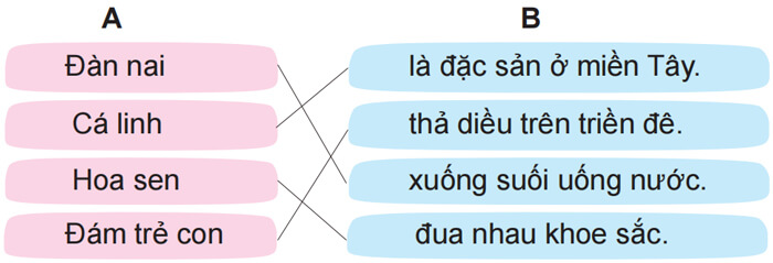 Luyện tập về chủ ngữ lớp 4