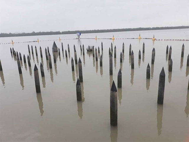 Hình ảnh bãi cọc trên sông Bạch Đằng