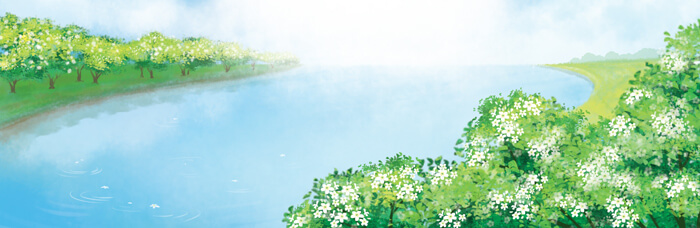 Đọc: Dòng sông mặc áo lớp 4