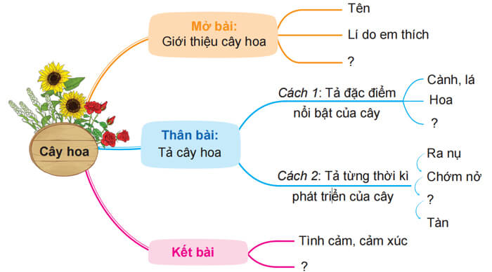 Luyện tập lập dàn ý cho bài văn miêu tả cây cối lớp 4