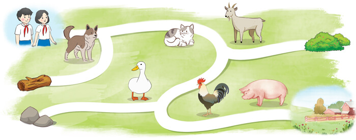 Luyện tập viết đoạn văn cho bài văn miêu tả con vật lớp 4