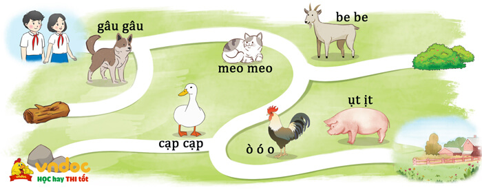 Luyện tập viết đoạn văn cho bài văn miêu tả con vật lớp 4