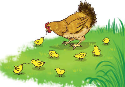 Luyện tập viết đoạn văn cho bài văn miêu tả con vật lớp 4