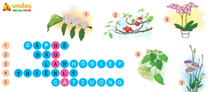 Quan sát, tìm ý cho bài văn miêu tả con vật lớp 4