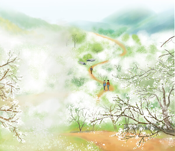 Đọc: Rừng mơ lớp 4