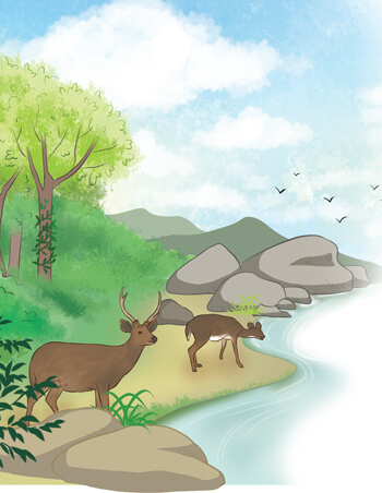 Luyện tập viết đoạn văn cho bài văn miêu tả con vật lớp 4