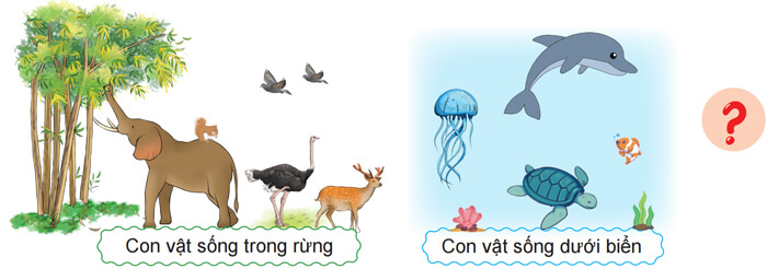 Luyện tập quan sát, tìm ý cho bài văn miêu tả con vật lớp 4
