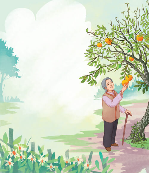 Đọc: Quả ngọt cuối mùa lớp 4