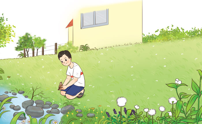 Đọc: Quà tặng của chim non lớp 4