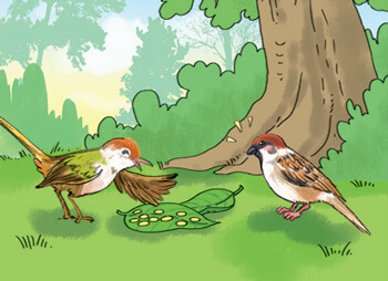 Kể chuyện Bài học quý lớp 4