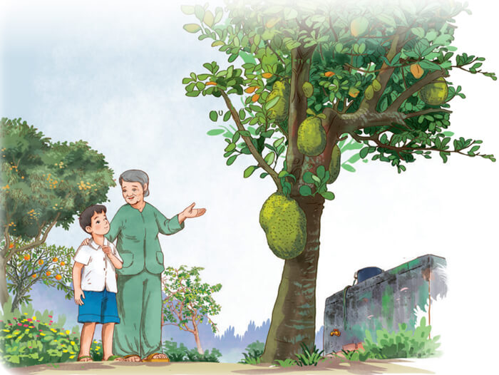 Đọc: Vườn của ông tôi lớp 4