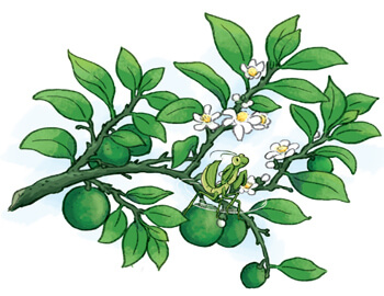 Ôn tập giữa học kì 2 Tiếng Việt lớp 4: Tiết 3+4