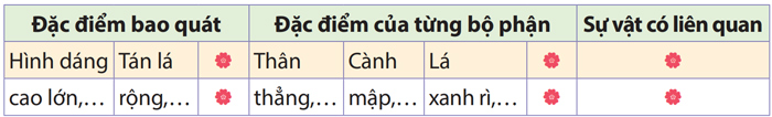Viết: Quan sát cây cối