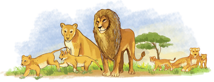 Viết đoạn văn tưởng tượng lớp 4