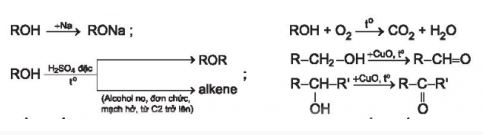Hóa 11 Kết nối tri thức bài 20