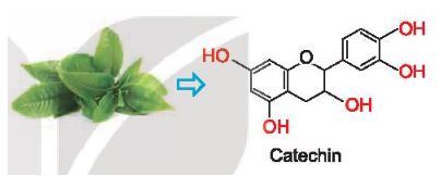 Hóa 11 Kết nối tri thức bài 21