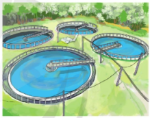 Giáo án Toán lớp 4 Cánh diều