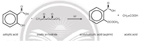 Hóa 11 Chân trời sáng tạo bài 17