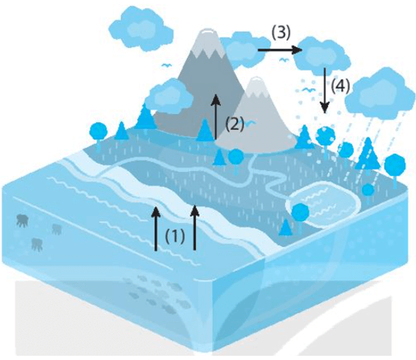 Bài 16: Nhiệt độ không khí. Mây và mưa