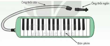 Nhạc cụ: Thể hiện nhạc cụ gõ hoặc nhạc cụ giai điệu SGK Âm nhạc 4 KNTT