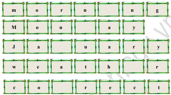 Đề thi Trạng Nguyên Toàn Tài lớp 4 năm 2023