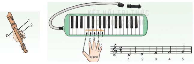 Nhạc cụ: Thể hiện nhạc cụ gõ hoặc nhạc cụ giai điệu trang 50 SGK Âm nhạc 4 KNTT
