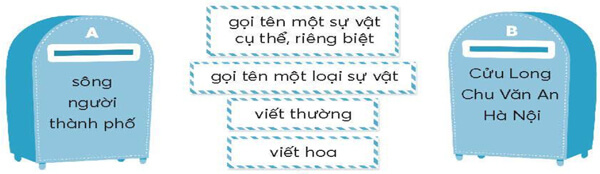  Bài 3: Anh em sinh đôi 