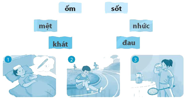 Bài 13: Con vẹt xanh