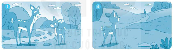 Ôn tập giữa học kì 1: Tiết 5