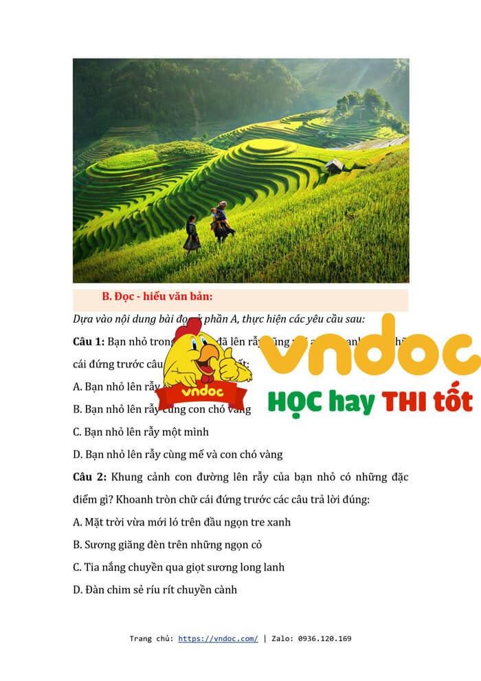 bai tap cuoi tuan tieng viet lop 4 canh dieu nang cao tuan 3 h3*494764