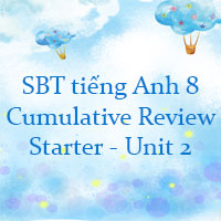 Workbook tiếng Anh 8 Cumulative Review Starter - Unit 2 Friends plus