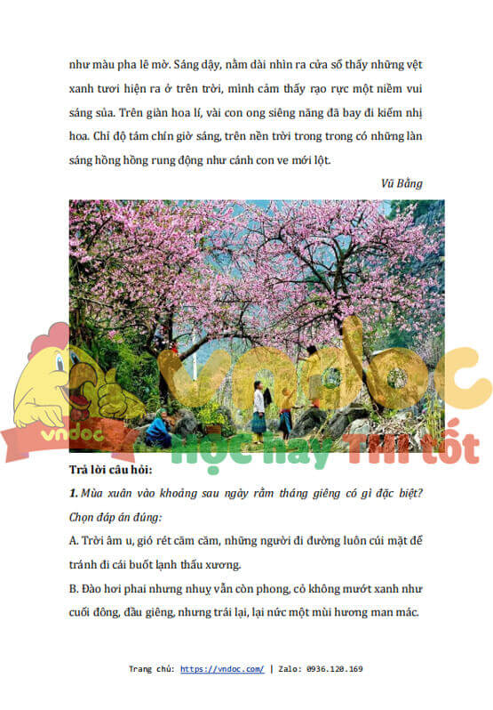 phieu bai tap cuoi tuan tieng viet lop 5 nang cao tuan 3 de 2 h2*498351