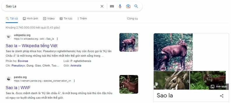 Thực hành 2 trang 18 SGK Tin học 4