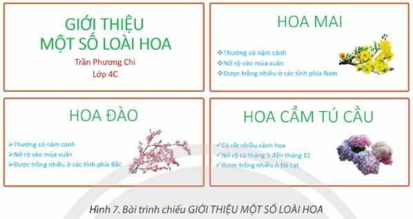 Thực hành trang 52 SGK Tin học lớp 4