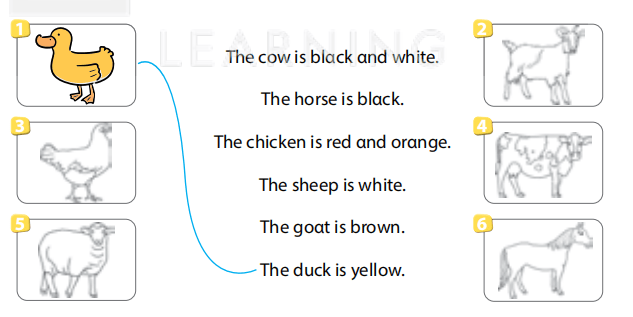 Sách bài tập Tiếng Anh 4 Wonderful world Unit 3 lesson 1