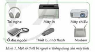 Hoạt động 1 trang 5 SGK Tin học lớp 4