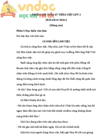 bai tap cuoi tuan tieng viet lop 2 ket noi tri thuc tuan 7 nang cao 1*514730