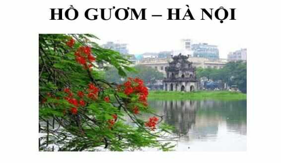 Vận dụng trang 29 SGK Tin học lớp 4