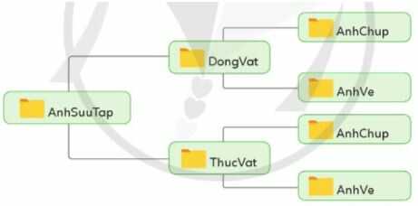 Yêu cầu 1 trang 24 SGK Tin học lớp 4