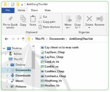 Yêu cầu 2 trang 25 SGK Tin học lớp 4