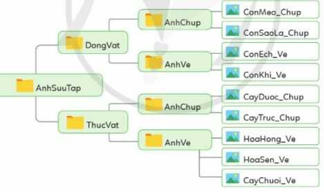 Yêu cầu 2 trang 25 SGK Tin học lớp 4